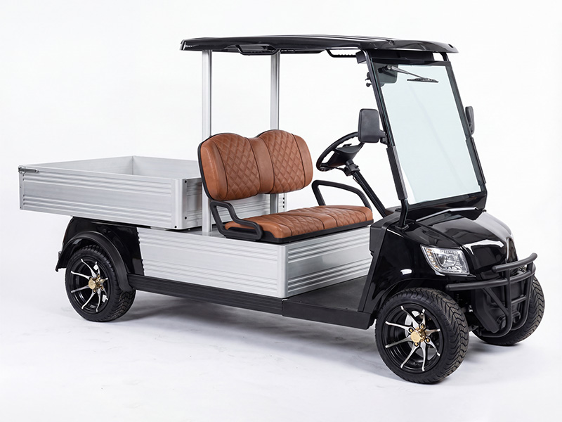2 Kişilik Kasalı Golf Aracı – FERRO CARGO